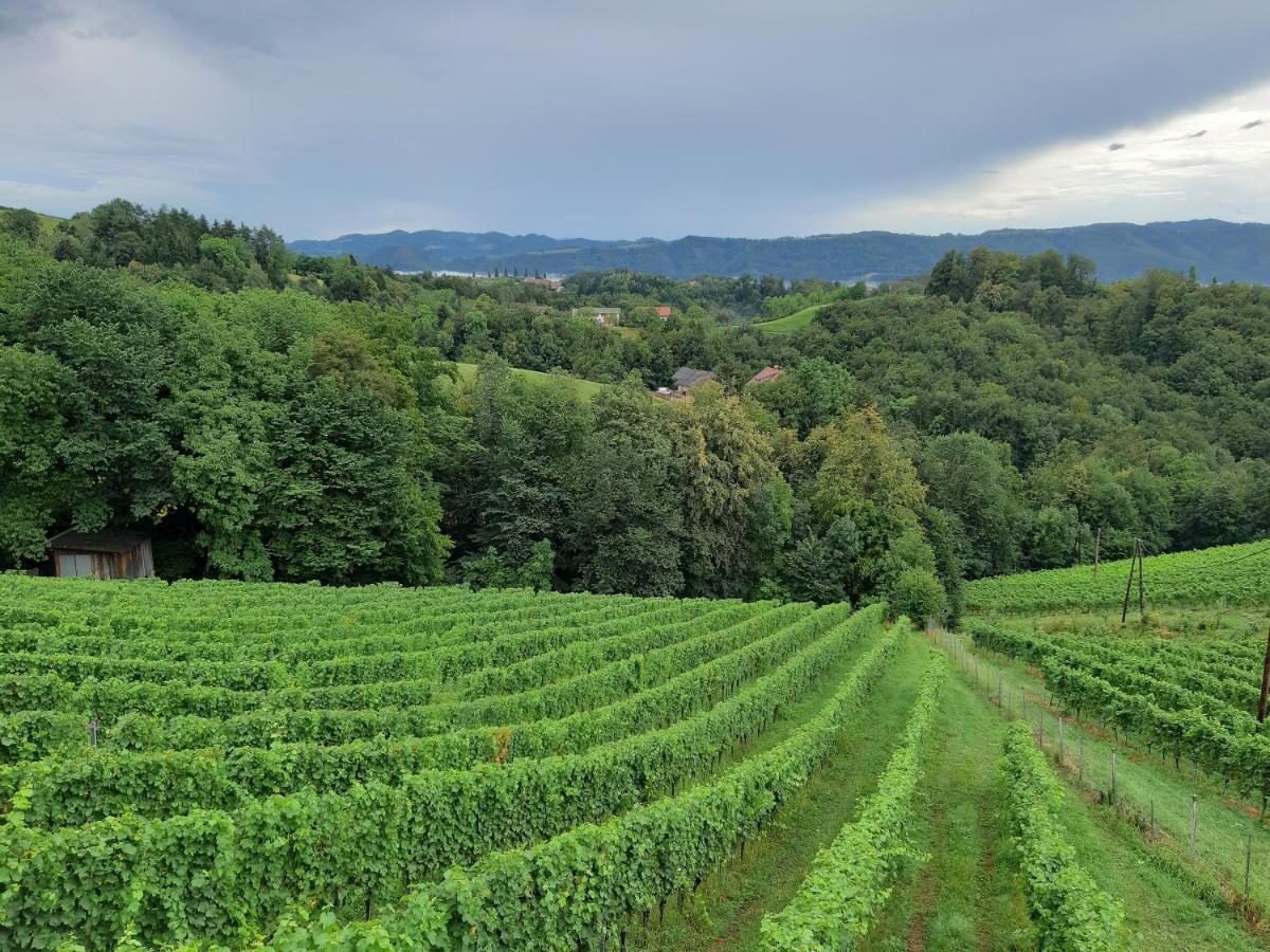 Ferienhaus Urschitz Eichberg Luaran gambar